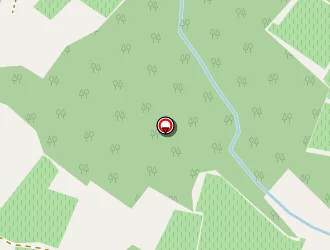 Carte de Saillard François à Nérigean