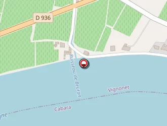 Carte de Bertrand Francis à Vignonet