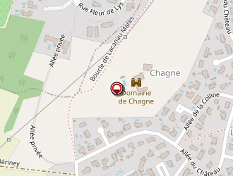 Carte de Home Designer à Tresses