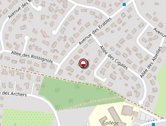 Carte de Lepage à Martignas-sur-jalle