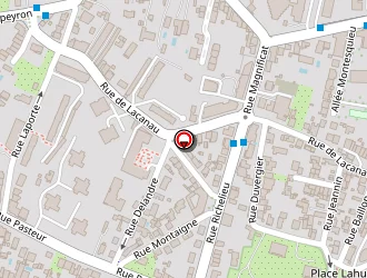 Carte de Schmitt Damien à Bordeaux