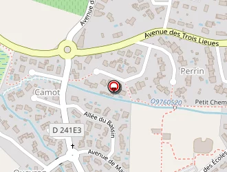 Carte de Patrick Galaber à Tresses