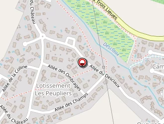 Carte de Ozongle D'or à Tresses