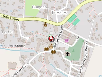 Carte de Thavel Delphine à Tresses