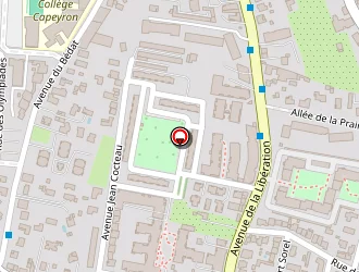 Carte de La Fleur D'ambre à Mérignac