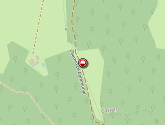 Carte de La Noyeraie à Castels