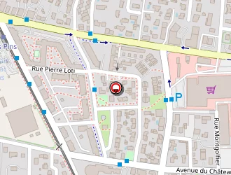 Carte de Leroy Pierre à Mérignac