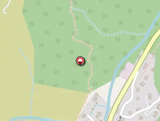 Carte de Vialle Patrice à Dornas