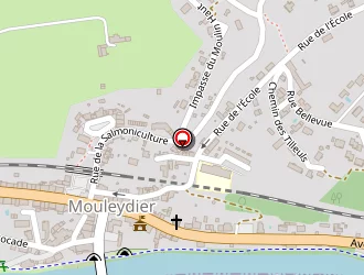 Carte de Urgence (services Locaux) à Mouleydier