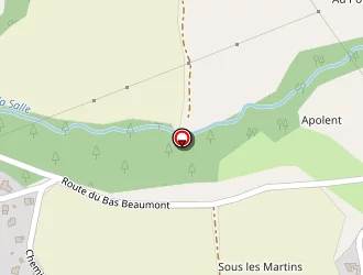 Carte de Sas Du Champlong à Salle-en-beaumont (la)