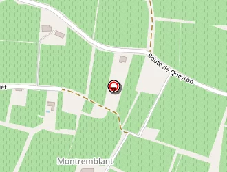 Carte de Fritegotto à Saint-émilion