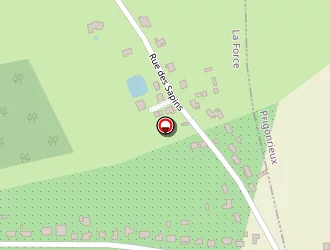 Carte de Margontier Cedric à Force (la)