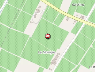 Carte de Boyer Michel à Génissac