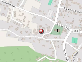 Carte de Conseil Général De La Dordogne (drpp) à Force (la)