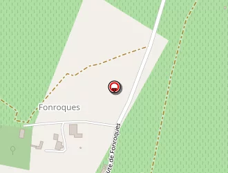 Carte de Bornerie Bernard à Montcaret