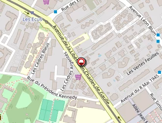 Carte de Joanne Bruno à Bouscat (le)