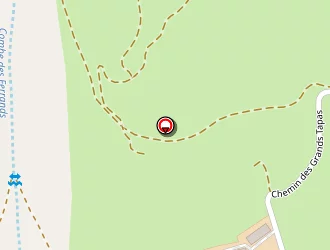 Carte de Urgence (services Locaux) à Saint-michel-en-beaumont