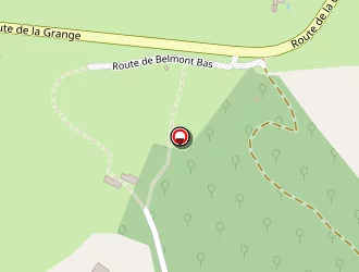 Carte de Perret Rémi à Roannes-saint-mary