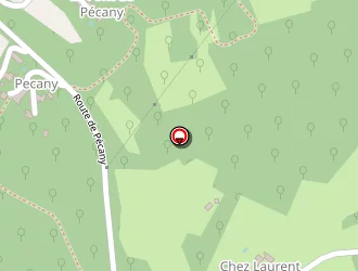 Carte de Audibert Claude à Saint-chamassy