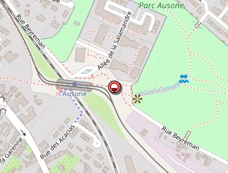 Carte de Besse Joel à Bruges