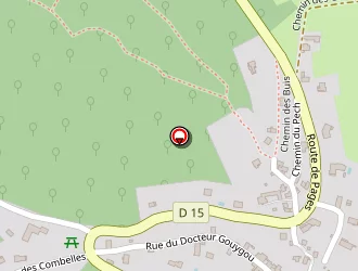 Carte de Hotel Grangier à Saint-sozy