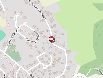 Carte de Bac Vincent à Sansac-de-marmiesse