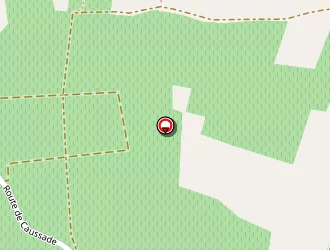 Carte de Plaud Jean Thierry à Montussan