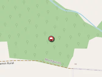 Carte de C3i à Fleix (le)