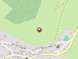 Carte de Bernard Jean Michel à Prunières