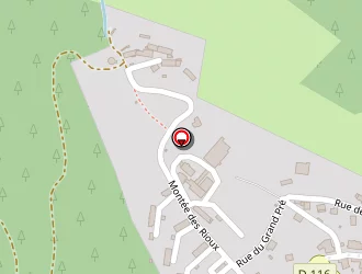 Carte de Garage L'auto Verte à Prunières