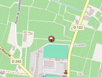 Carte de Train Des Grands Vignobles à Saint-émilion