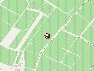 Carte de Clos Junet (scea) à Saint-émilion