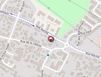 Carte de Torregrosa Stéphane à Bassens