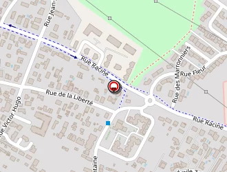 Carte de Colis Express à Bassens