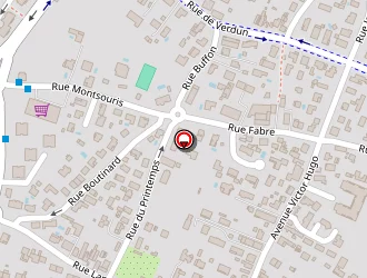 Carte de Celik Hüseyin à Bassens