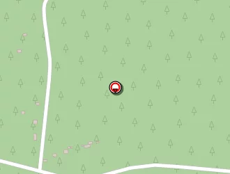 Carte de Atlantiques Services à Saumos