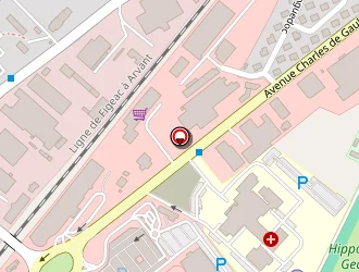 Carte de Saveurs D'asie à Aurillac