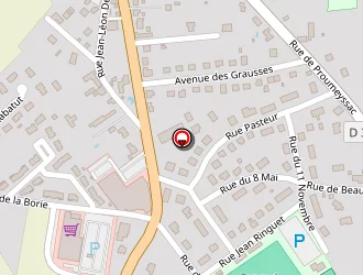 Carte de La Boutique Informatique à Bugue (le)