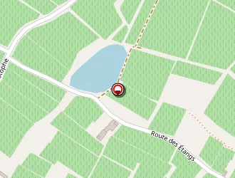 Carte de Demur Thierry à Montagne