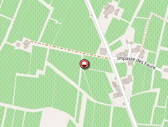 Carte de Degiovanni Vincent à Saint-émilion