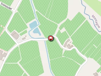 Carte de Depons Romain à Saint-émilion