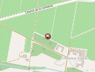 Carte de Château Figeac à Saint-émilion