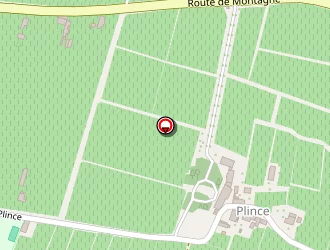 Carte de Château Plince à Libourne