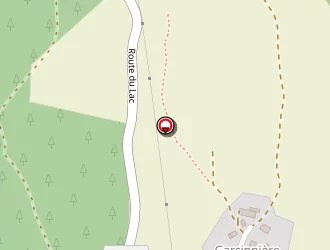 Carte de Ravier Stéphanie à Sinard