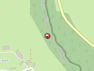 Carte de Feuillet Michel à Thérondels