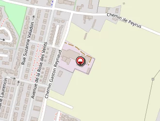 Carte de Aps (activités Professionnelles De Services) à Valence