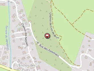 Carte de Fiquemont Jacques à Saint-chaffrey