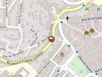 Carte de Esprit Sushi Aurillac à Aurillac