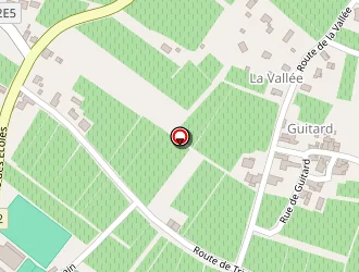 Carte de Courty Philippe à Montagne