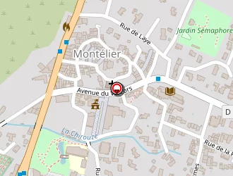 Carte de Detentonic à Montélier